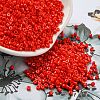 Cylinder Seed Beads SEED-H001-H19-2