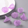 Transparent Acrylic Beads BSF796-C08-8