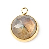Handmade Natural Mixed Gemstone Pendants PALLOY-JF00791-2
