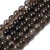 Natural Smoky Quartz Beads Strands X-G-B167-A09-8mm-2