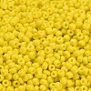 8/0 Glass Seed Beads X2-SEED-A010-3mm-42-3