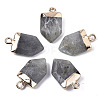 Natural Labradorite Pointed Pendants G-N326-34C-1