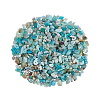 Natural Amazonite Chip Beads G-CJ0001-21-3