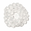 Transparent Frosted Glass Beads Strands FGLA-S001-02F-4