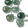 Natural Green Strawberry Quartz Beads Strands G-P544-C09-01-3