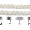 Natural White Moonstone Beads Strands X-G-D294-4mm-02-2
