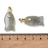 Natural Mixed Stone Pendants G-A297-01G-M-4