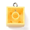 Resin Pendants RESI-E017-A02-2