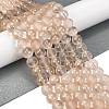 Frosted Transparent Glass Bead Strands GLAA-P065-8mm-05-1