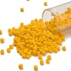 TOHO 6/0 Round Beads SEED-TR06-0042B-1