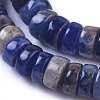 Natural Sodalite Beads Strands G-I265-04-3