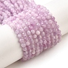 Natural Kunzite Beads Strands G-G259-D11-4mm-2