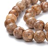 Natural Maifanite/Maifan Stone Beads Strands X-G-P451-01A-C-3