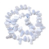 Natural Blue Lace Agate Spike Slice Beads Strands G-NH0046-B01-01-3