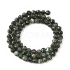 Natural Seraphinite Beads Strands G-K376-A02-5mm-3