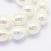 Shell Pearl Beads Strands BSHE-P024-12A-3