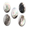 Natural Black Lip Shell Cabochons SSHEL-D084-04A-1