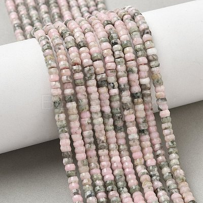 Natural Rhodonite Beads Strands G-A299-A24-01-1