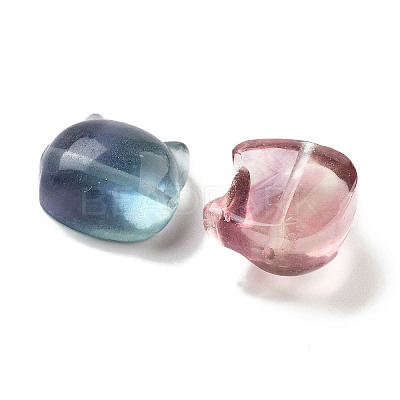 Natural Fluorite Beads G-H007-03C-1