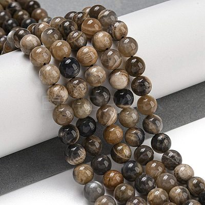 Natural Black Moonstone Beads Strands G-Q183-A01-01-1
