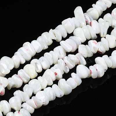Natural Freshwater Shell Beads Strands SHEL-N003-23-A01-1