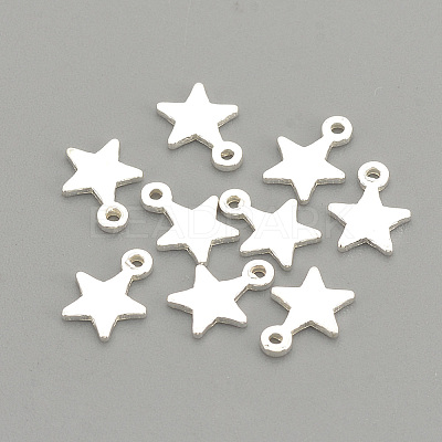 925 Sterling Silver Charms STER-S002-30S-1