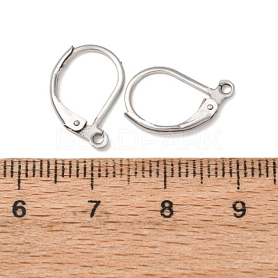 Tarnish Resistant 316L Surgical Stainless Steel Leverback Earring Findings STAS-E194-03P-1