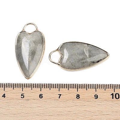 Natural Labradorite Pendants G-G193-02G-05-1
