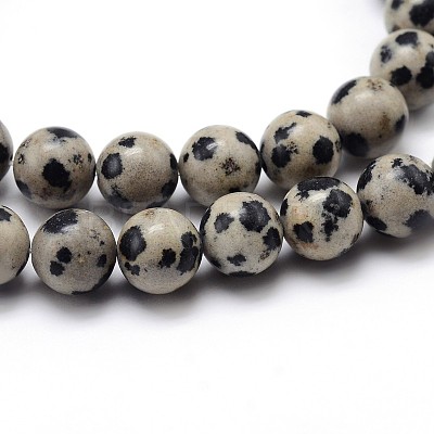 Natural Dalmatian Jasper Round Bead Strands G-J303-19-6mm-1