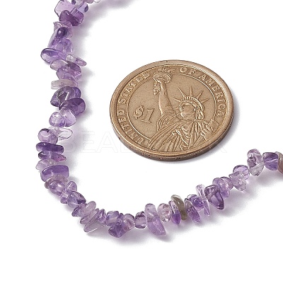 Natural Amethyst Chip Beaded Necklace NJEW-JN04615-06-1