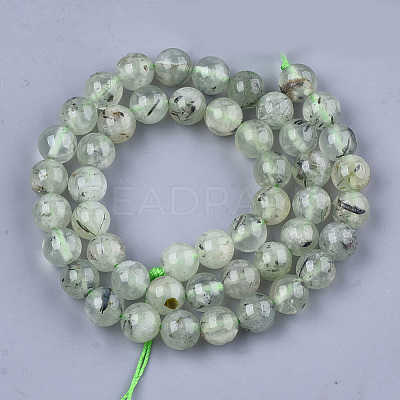 Natural Prehnite Beads Strands G-S333-8mm-032-1