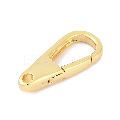 Brass Spring Gate Clasps KK-M311-24G-01-1