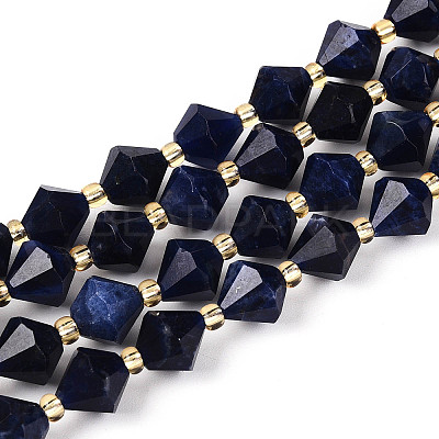 Natural Lapis Lazuli Beads Strands G-T144-23A-02-1