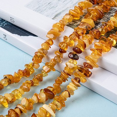 Natural Amber Chip Beads Strands G-E271-81-1