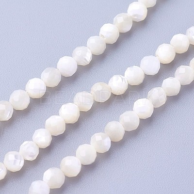 Natural Shell Beads Strands X-G-F619-27-3mm-1
