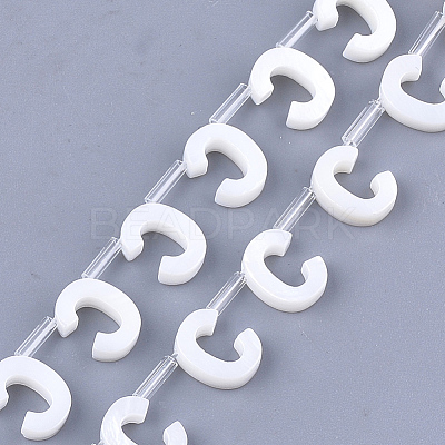 Natural Freshwater Shell Beads SHEL-T012-59C-1