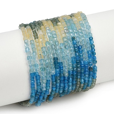 Natural Blue Green Yellow Apatite Beads Strands G-NH0050-B01-01-1