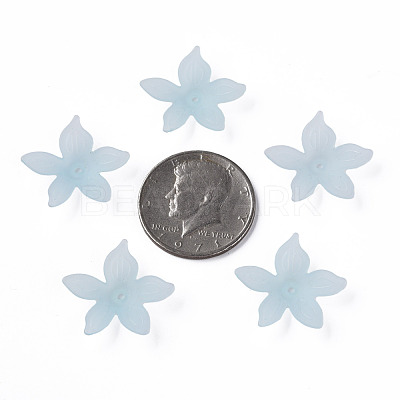 Transparent Acrylic Beads MACR-S373-127-D02-1