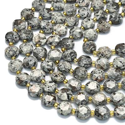 Natural Fluorescent Syenite Rock(Glow under UV Light) Beads Strands G-C116-A127-01-1
