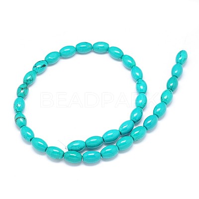 Natural Magnesite Oval Bead Strands TURQ-E022-13-12x8mm-1
