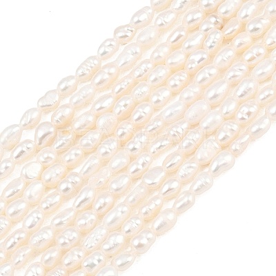 Natural Cultured Freshwater Pearl Beads Strands PEAR-D003-01D-03-1