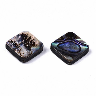 Natural Abalone Shell/Paua Shell Beads SSHEL-T014-13A-1