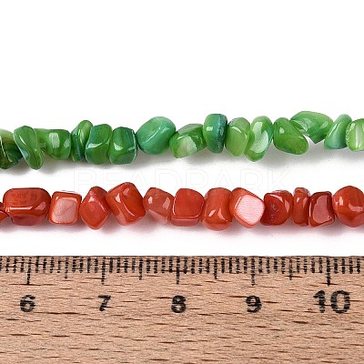 Natural Freshwater Shell Beads Strands SHEL-N037-04A-1