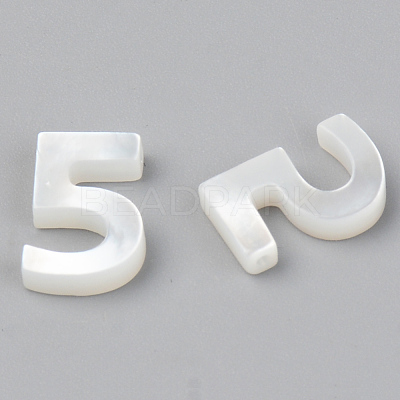Natural White Shell Mother of Pearl Shell Charms SSHEL-R048-004-05-1