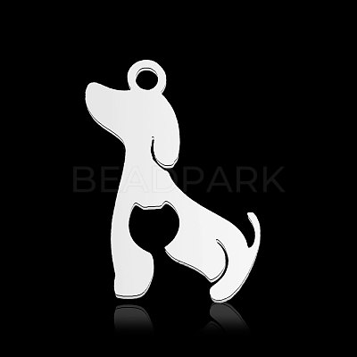 Non-Tarnish 304 Stainless Steel Pendants STAS-N090-LA880-1-1