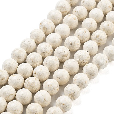 Natural Fossil Beads Strands G-H026-02B-1