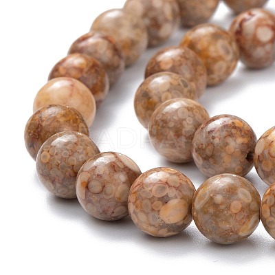 Natural Maifanite/Maifan Stone Beads Strands X-G-P451-01A-C-1