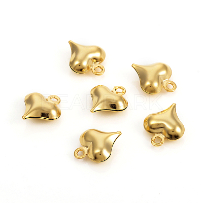 304 Stainless Steel Charms STAS-I149-05A-G-1