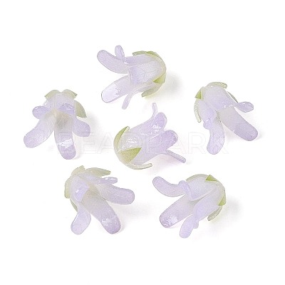 Heat Shrink Acrylic Bead Caps OACR-N155-04C-1