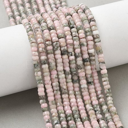 Natural Rhodonite Beads Strands G-A299-A24-01-1